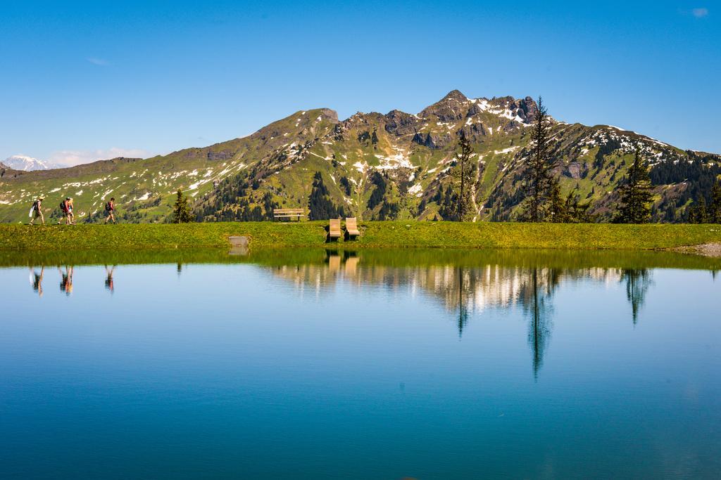 Hotel Voelserhof - Bergbahn Im Sommer 2025 Inklusive Bad Hofgastein Exteriér fotografie